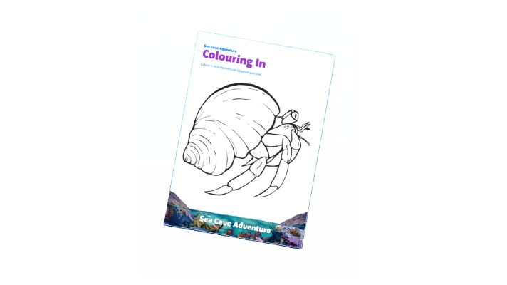 Hermit Crab Colouring In