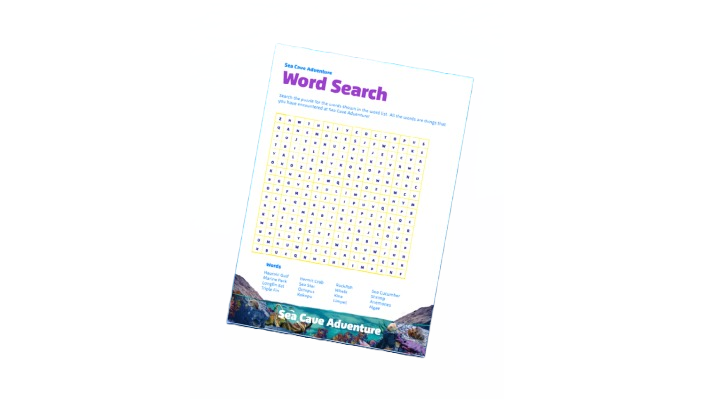 SCA Word Search