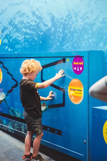 A Child Tries Out The New Turtle Rescue Experience
