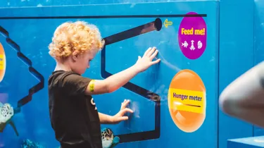 A Child Tries Out The New Turtle Rescue Experience