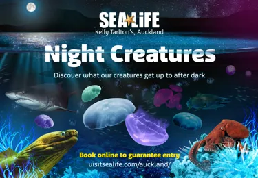 SLKT Nightcreaturesa3