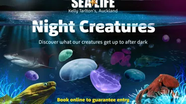 SLKT Nightcreaturesa3