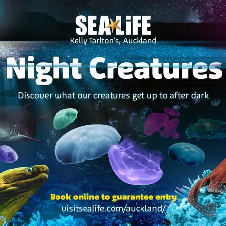 SLKT Nightcreaturesa3