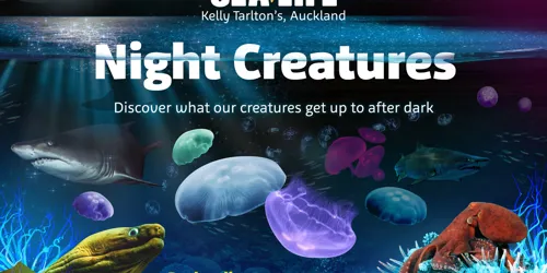 SLKT Nightcreaturesa3