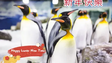 Lunar New Year 2021