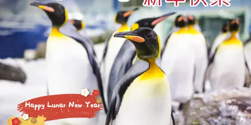 Lunar New Year 2021