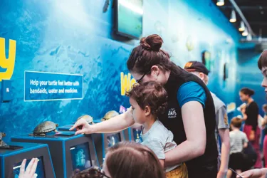 Turtle Rescue Zone