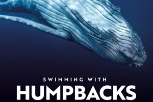 hUMPBACK