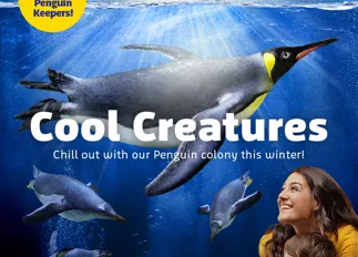 Coolcreatures Whatson 700X700px SLKT