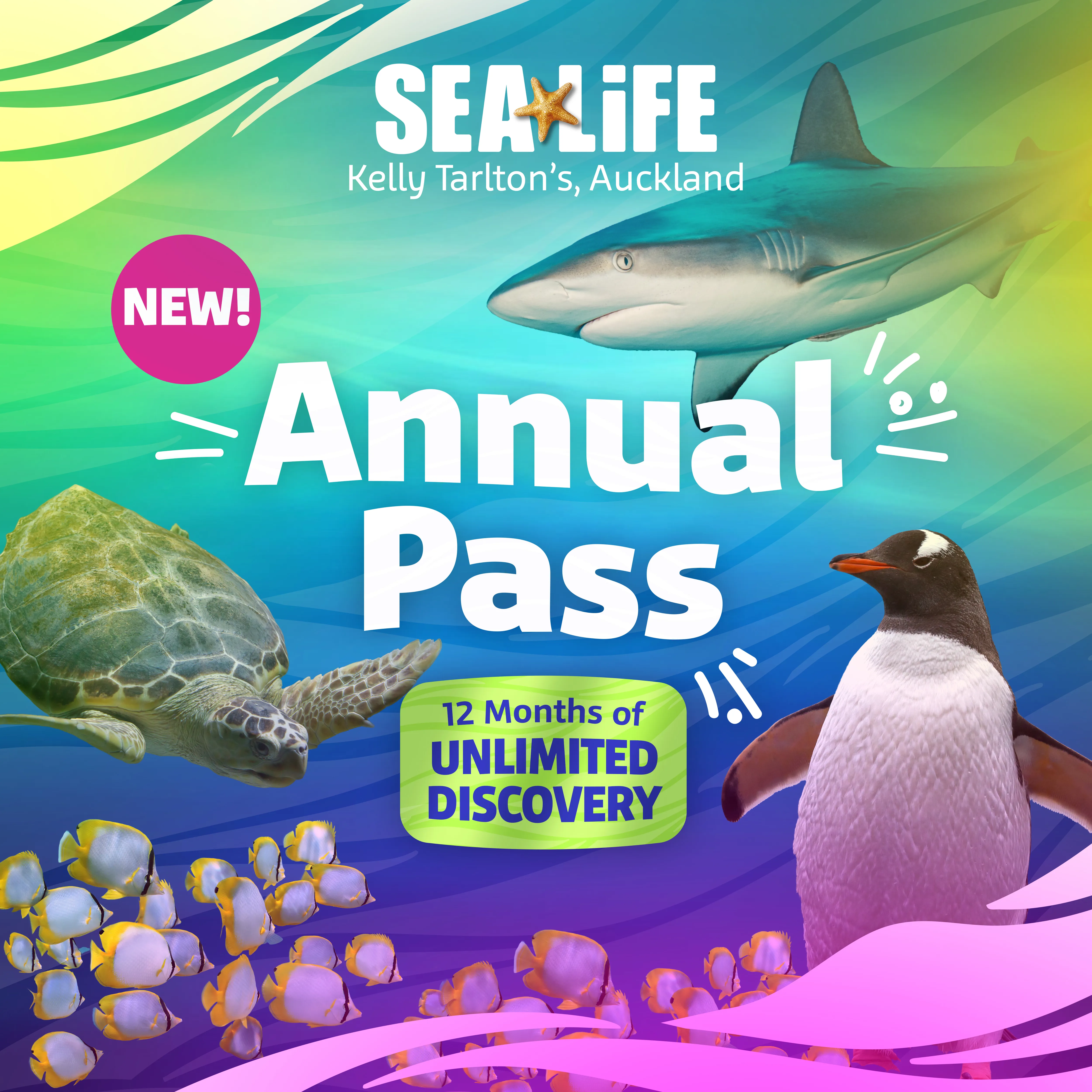 SLAP 1000X1000px SLKT NEW