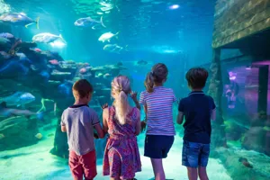 Kids Looking Into Aquarium Vac Care Shot