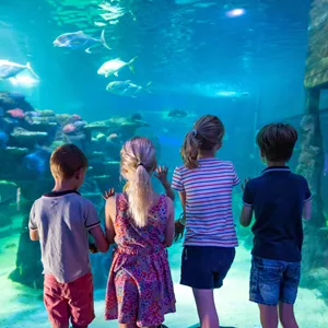 Kids Looking Into Aquarium Vac Care Shot