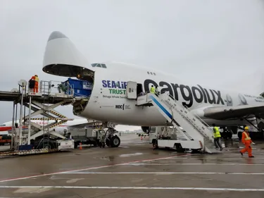 Beluga Arrived Iceland