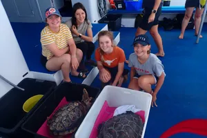 Ocean Youth Turtle Release 3