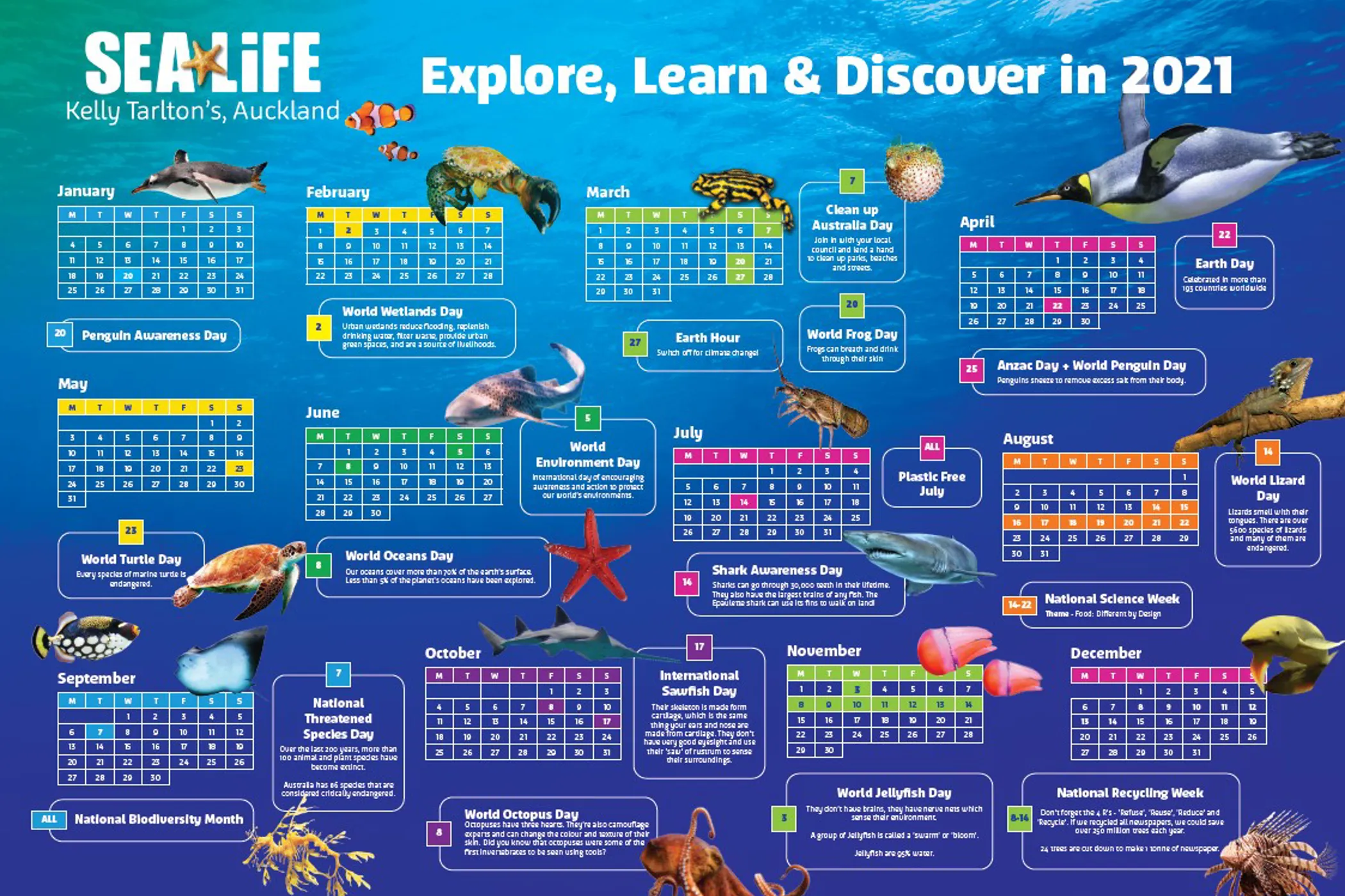 Educational Visits | SEA LIFE Kelly Tarlton's Educational Visits | SEA LIFE Kelly Tarlton's