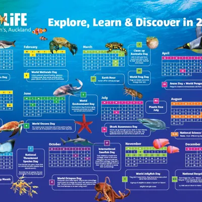 2021 SLKT Calendar Screenshot
