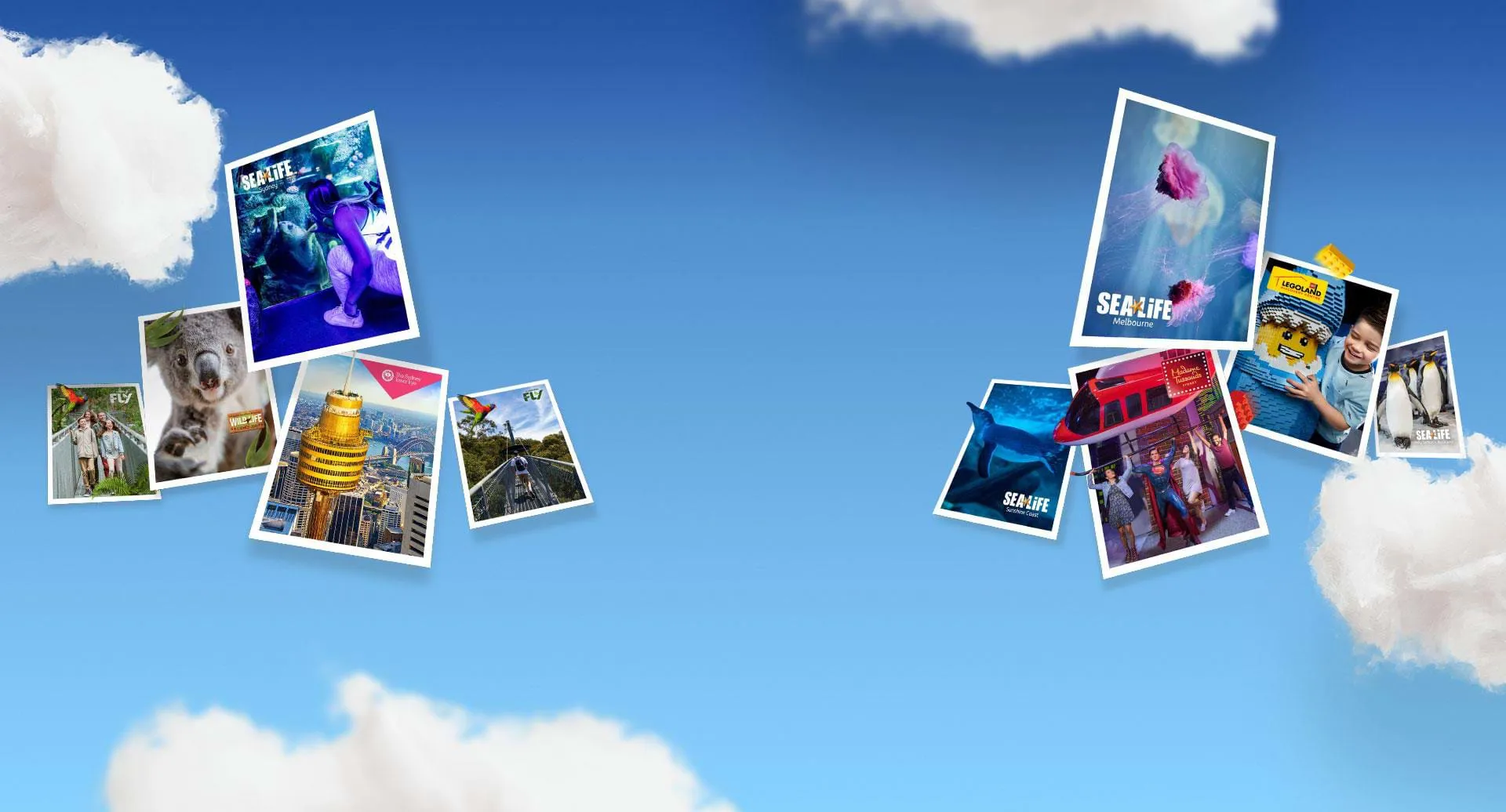 Annual Pass Banner