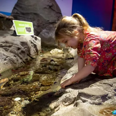 Anja Rockpool