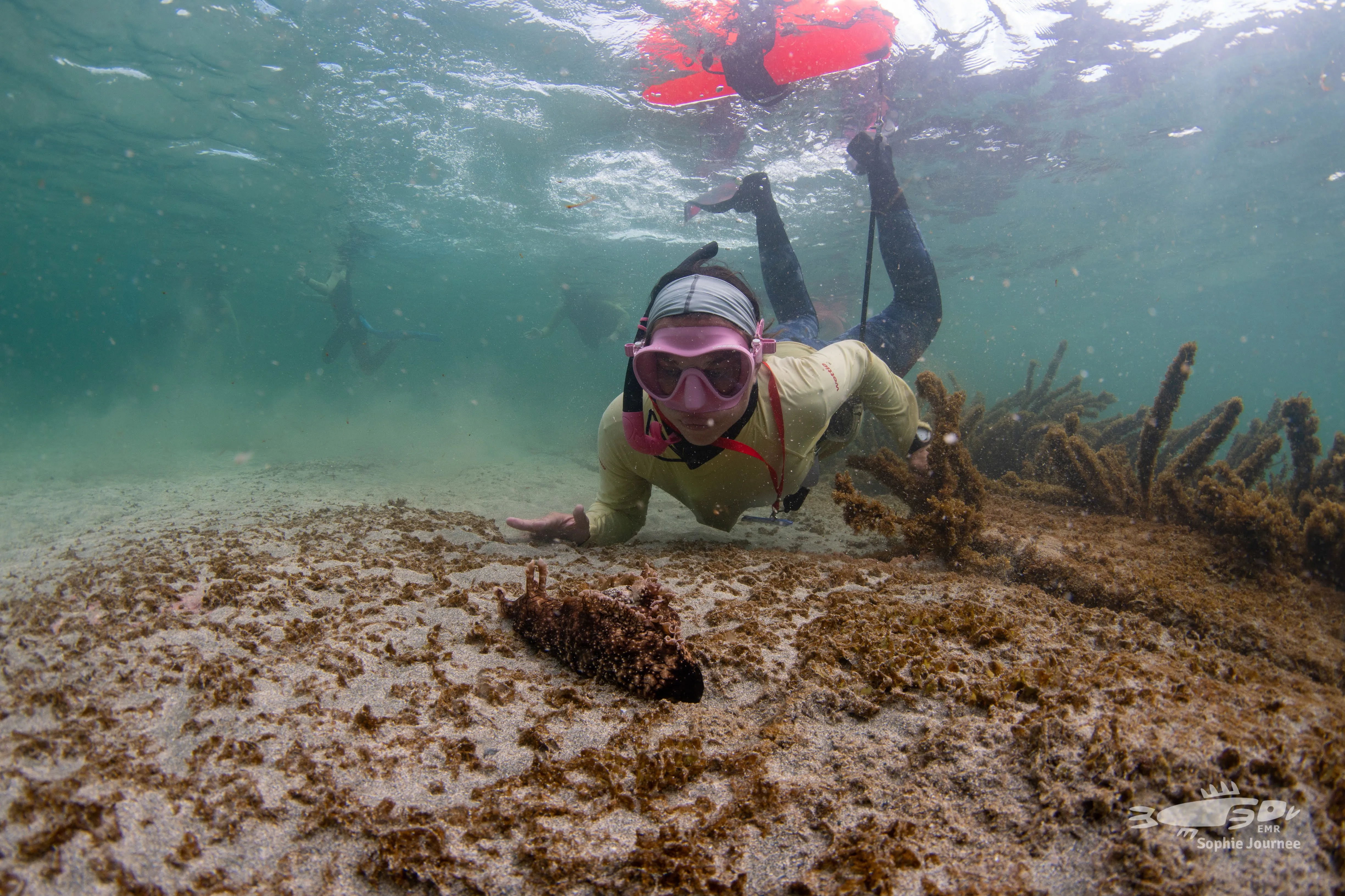 Ocean Youth EMR Snorkel Day 2022 1