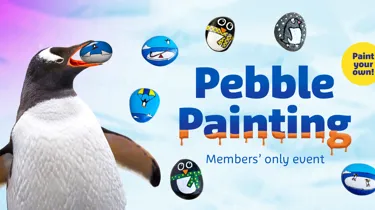 SLKT Pebblepaint Event 2160X1080px