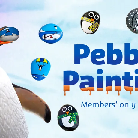 SLKT Pebblepaint Event 2160X1080px