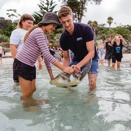 Turtle Release 2020 1400X960