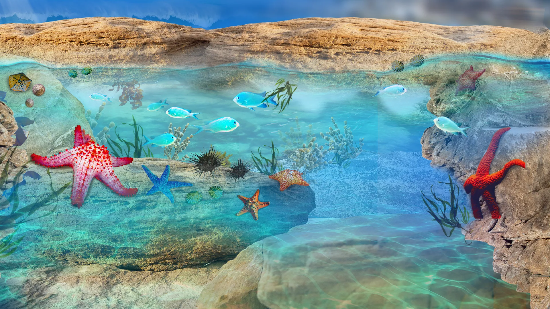 SL Rockpool Frontpagehero 1920X1080px