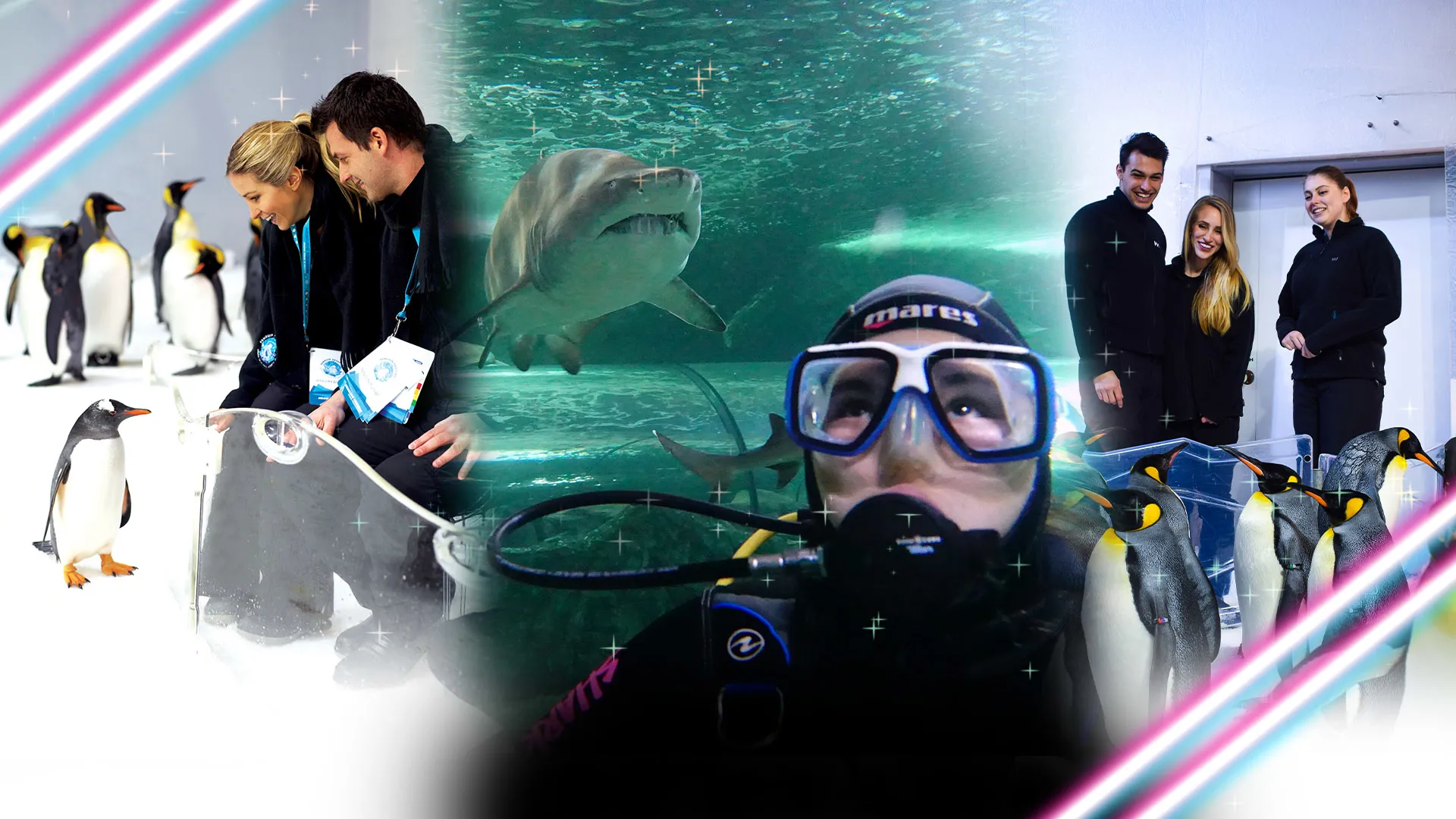 BF Frontpagehero 1920X1080px Mel+Auck