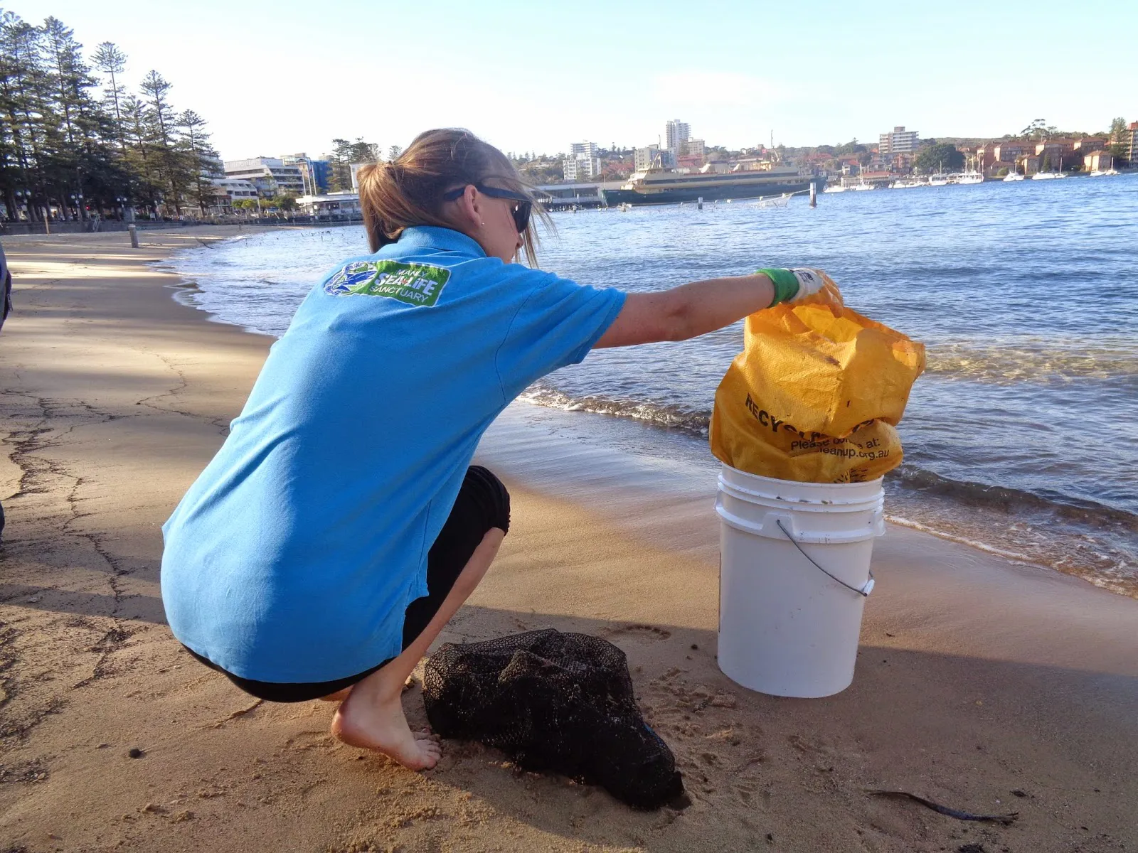 Beach Clean3 August 2014