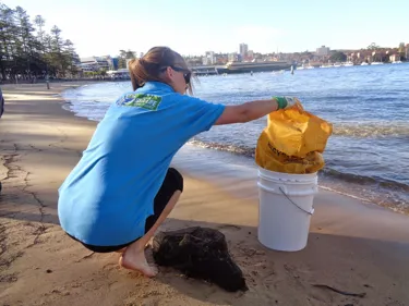 Beach Clean3 August 2014