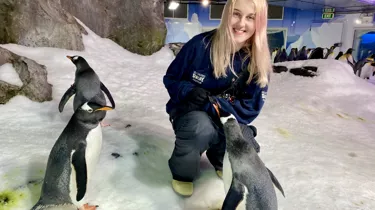 Katie smiling with her penguin friends