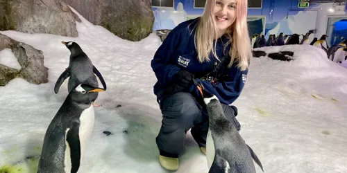 Katie smiling with her penguin friends