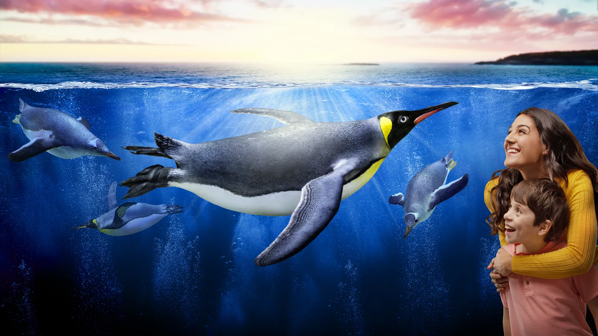Coolcreatures Frontpagehero 1920X1080px SLKT