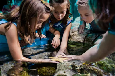 Kids touching Starfish