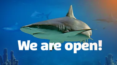 SLKT Weareopen EDM Banner 600X338px
