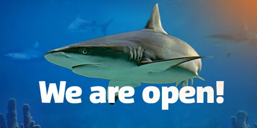 SLKT Weareopen EDM Banner 600X338px