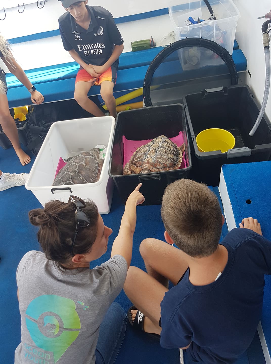 Ocean Youth Turtle Release 1