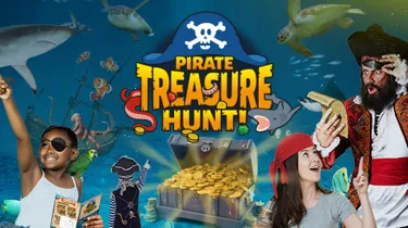 SLKT Pirate Websitetile 600X300px