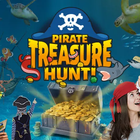 SLKT Pirate Websitetile 600X300px