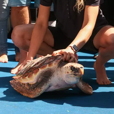 12. Kate Chevin With Turtle