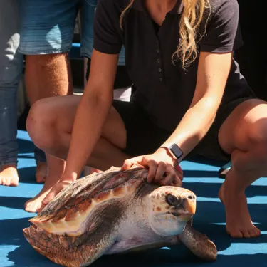 12. Kate Chevin With Turtle