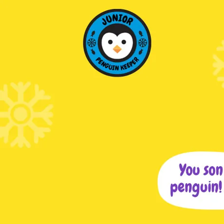 Junior Penguin Keeper