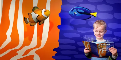 SLKT Colourfulcreatures Frontpagehero 1920X1080pxjpg