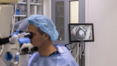 SEA LIFE Kelly Tarlton S Penguin Cataract Surgery Dr Peter Hadden Eye Institute Auckland (2)