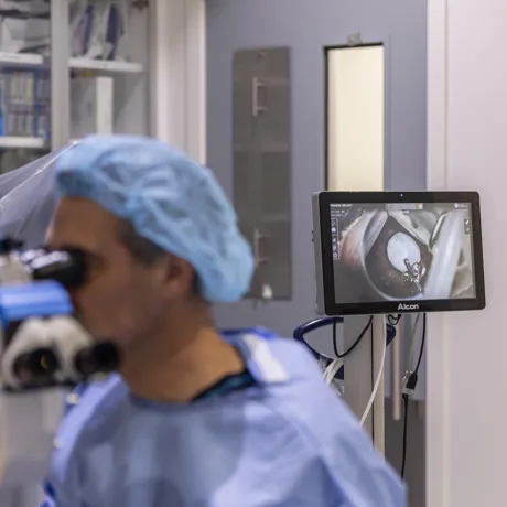 SEA LIFE Kelly Tarlton S Penguin Cataract Surgery Dr Peter Hadden Eye Institute Auckland (2)