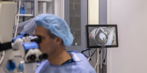 SEA LIFE Kelly Tarlton S Penguin Cataract Surgery Dr Peter Hadden Eye Institute Auckland (2)