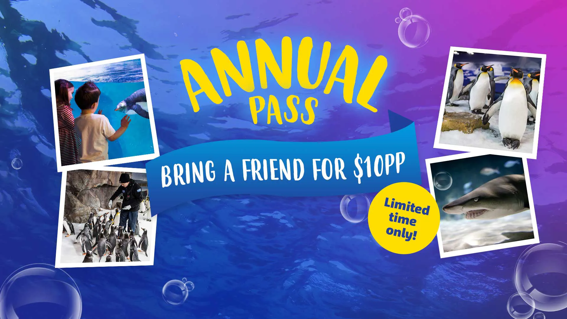 Annual Passholder Special 
