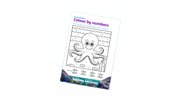 SCA Colour By Numbers