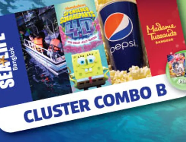 CLUSTER COMBO B