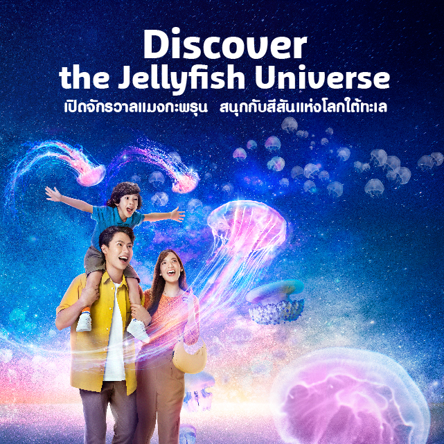 Web Site [Jellyfish] 02